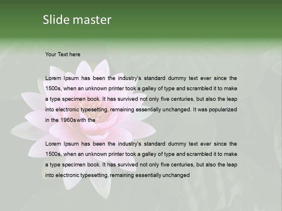 Water Lily PowerPoint Template