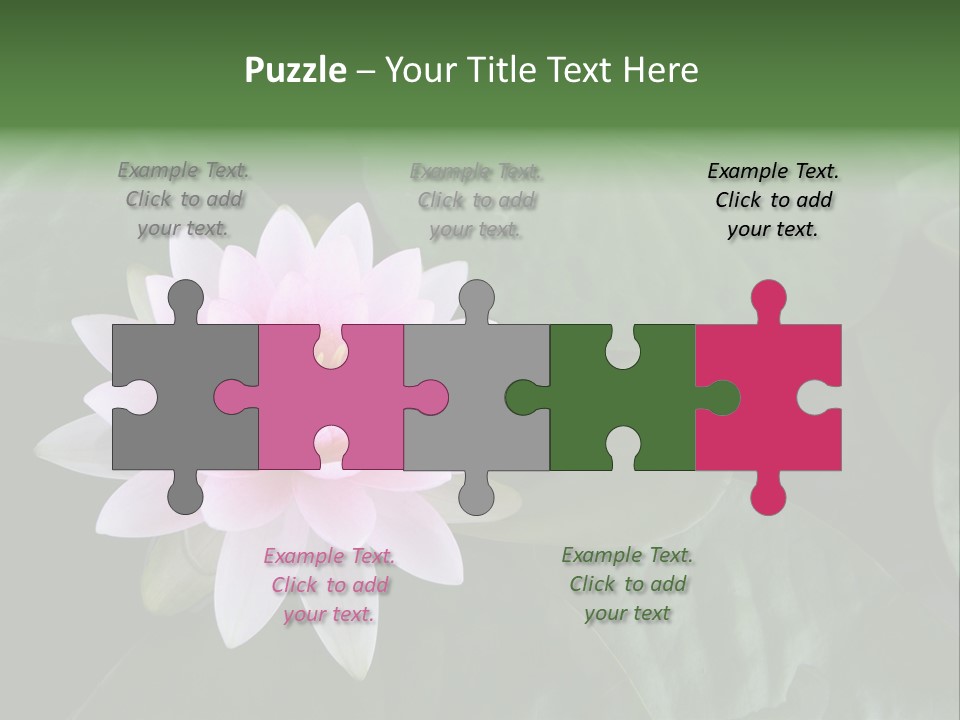 Water Lily PowerPoint Template