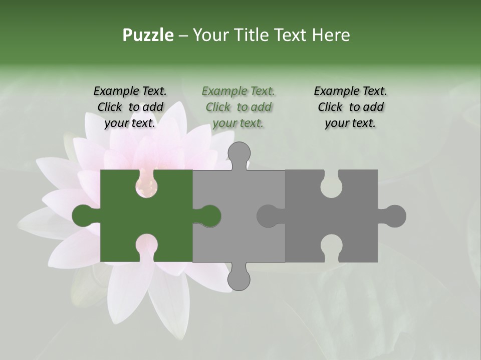 Water Lily PowerPoint Template