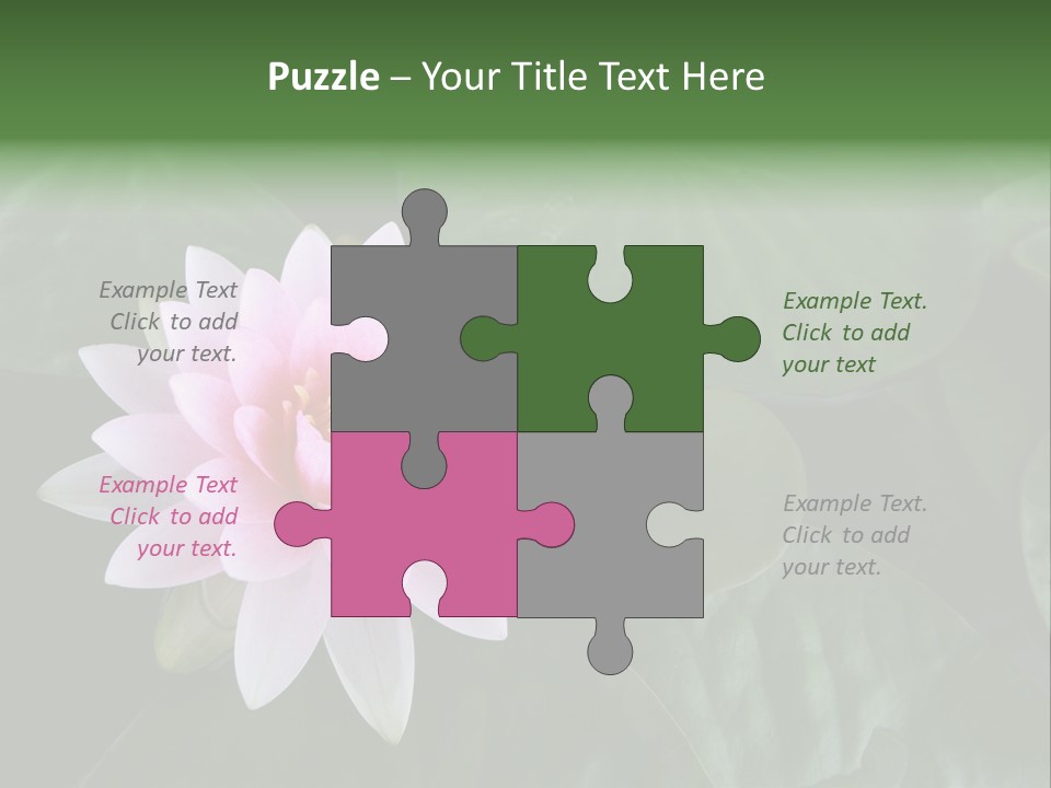 Water Lily PowerPoint Template
