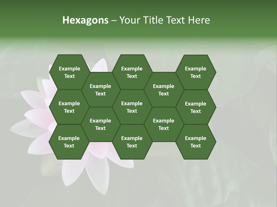 Water Lily PowerPoint Template