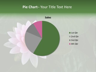 Water Lily PowerPoint Template