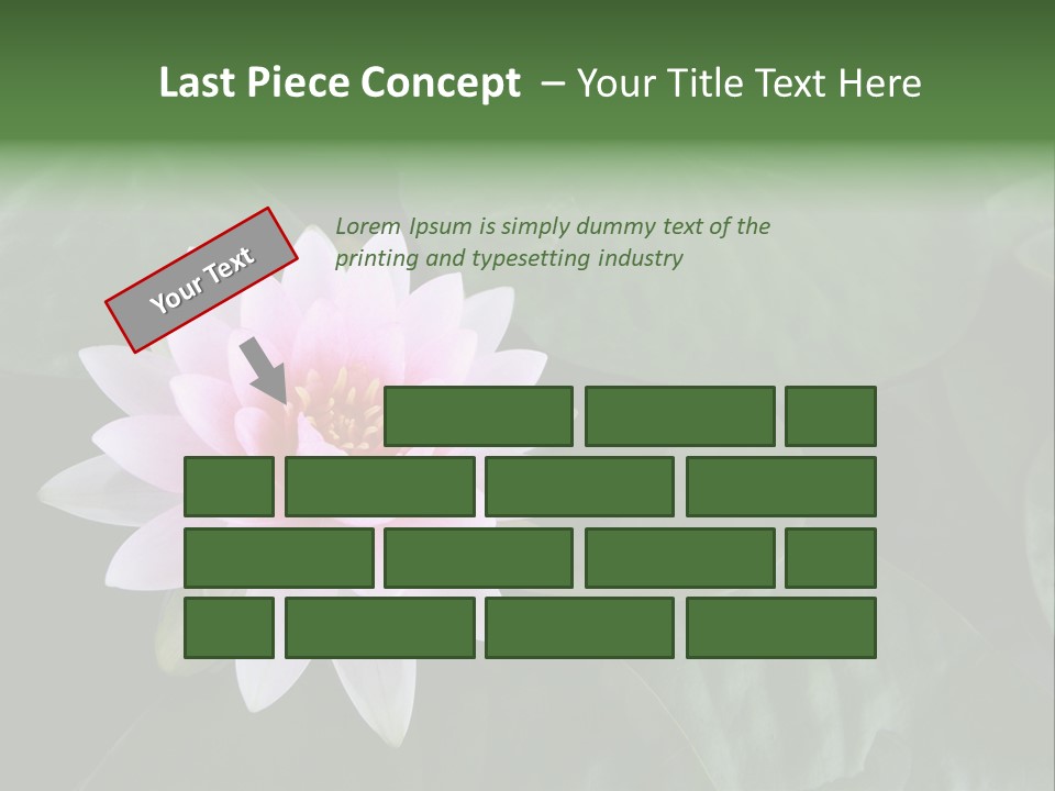 Water Lily PowerPoint Template