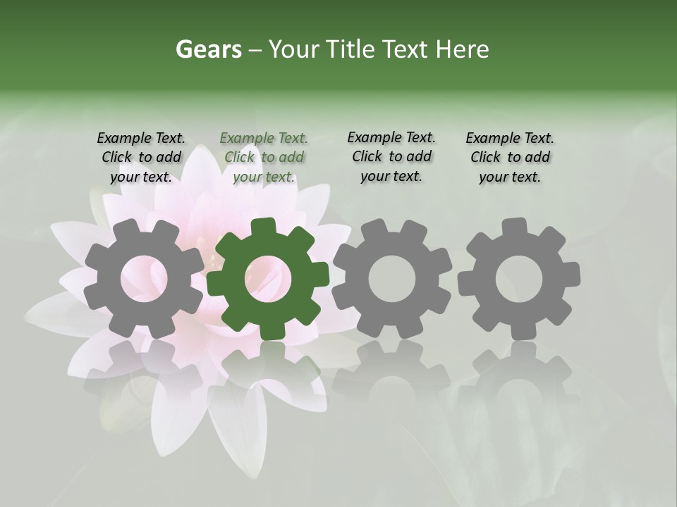 Water Lily PowerPoint Template