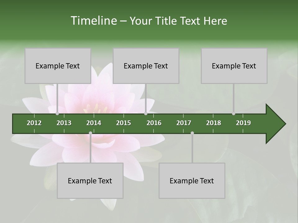 Water Lily PowerPoint Template