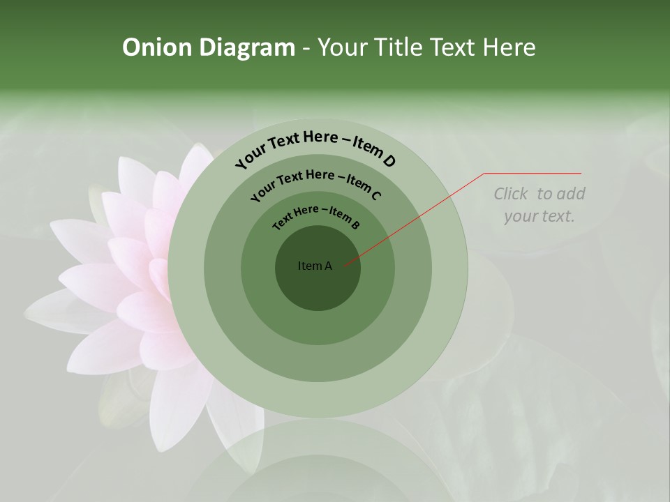 Water Lily PowerPoint Template