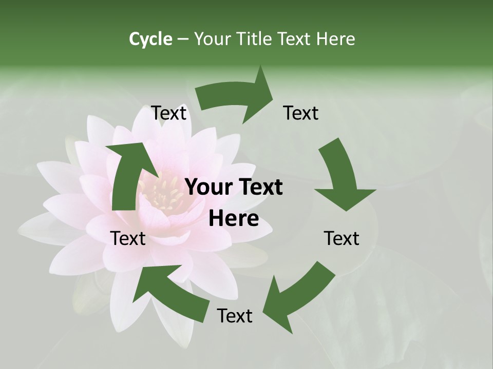 Water Lily PowerPoint Template