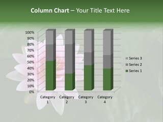 Water Lily PowerPoint Template