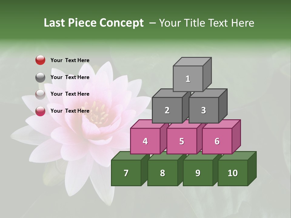 Water Lily PowerPoint Template