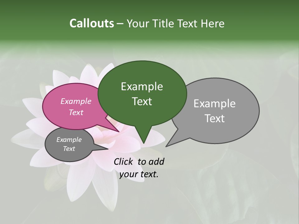 Water Lily PowerPoint Template