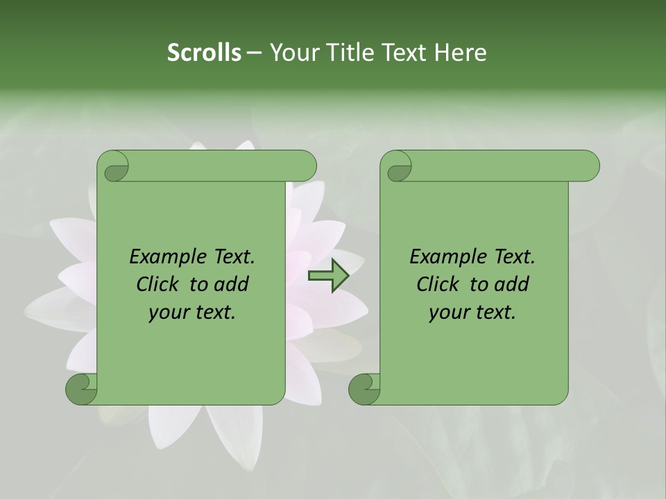 Water Lily PowerPoint Template
