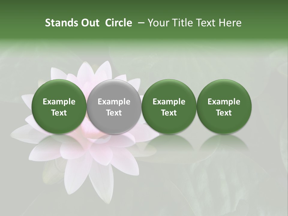 Water Lily PowerPoint Template