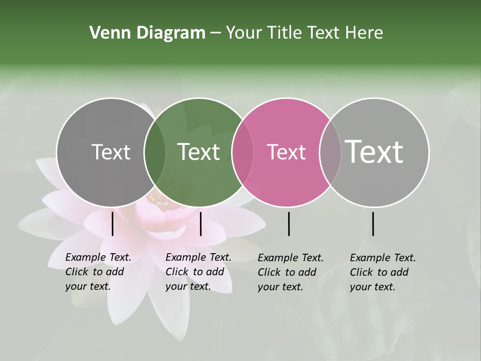 Water Lily PowerPoint Template