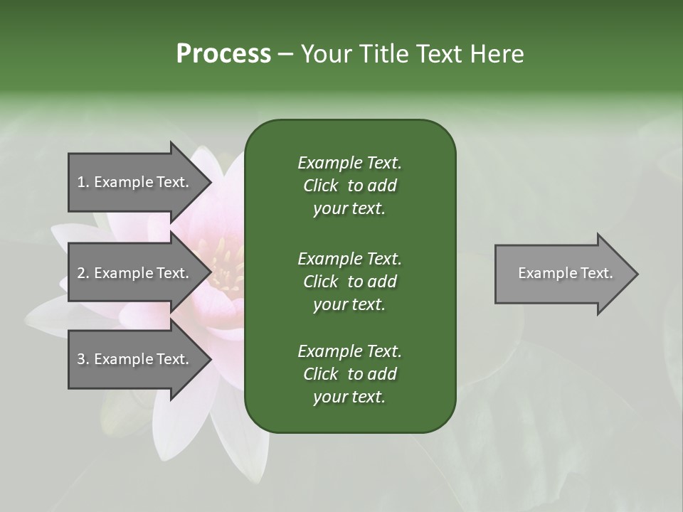 Water Lily PowerPoint Template