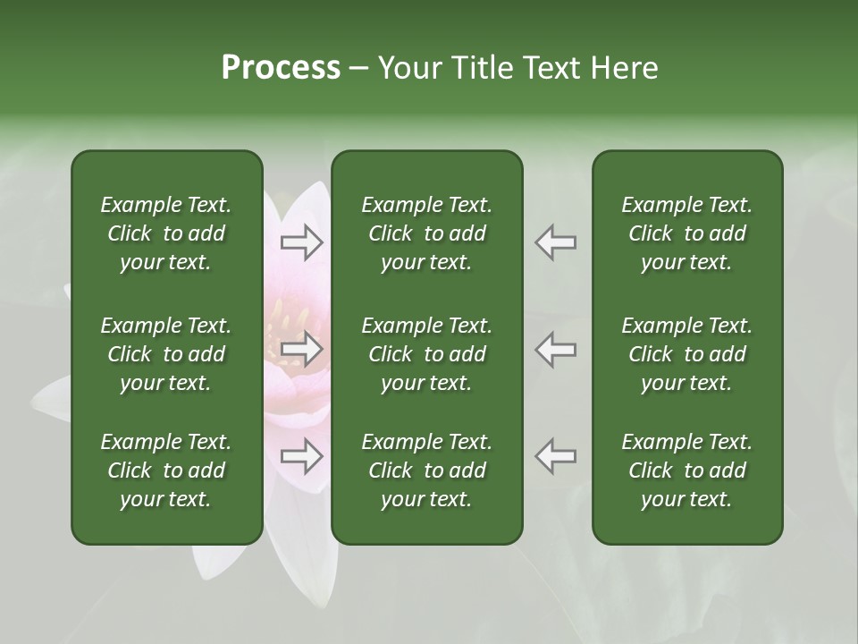 Water Lily PowerPoint Template