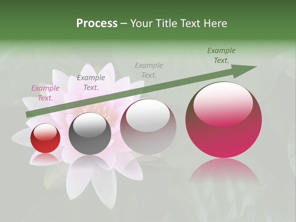 Water Lily PowerPoint Template