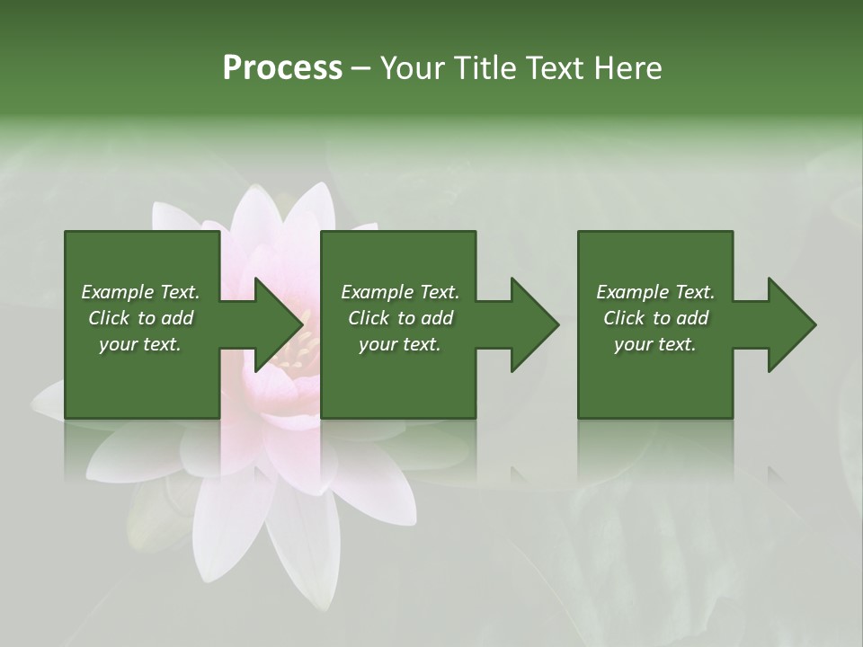 Water Lily PowerPoint Template