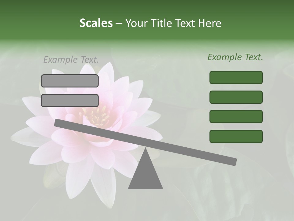 Water Lily PowerPoint Template