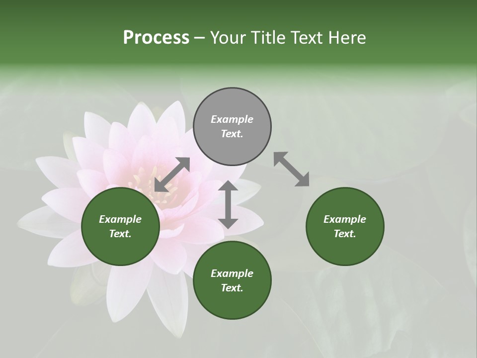 Water Lily PowerPoint Template