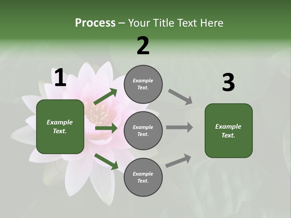 Water Lily PowerPoint Template