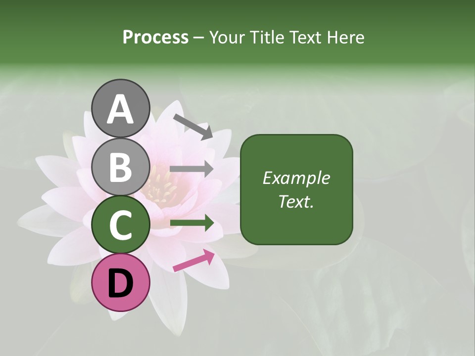 Water Lily PowerPoint Template