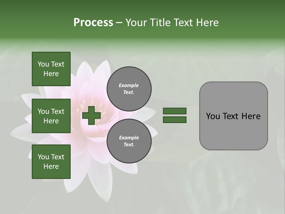Water Lily PowerPoint Template