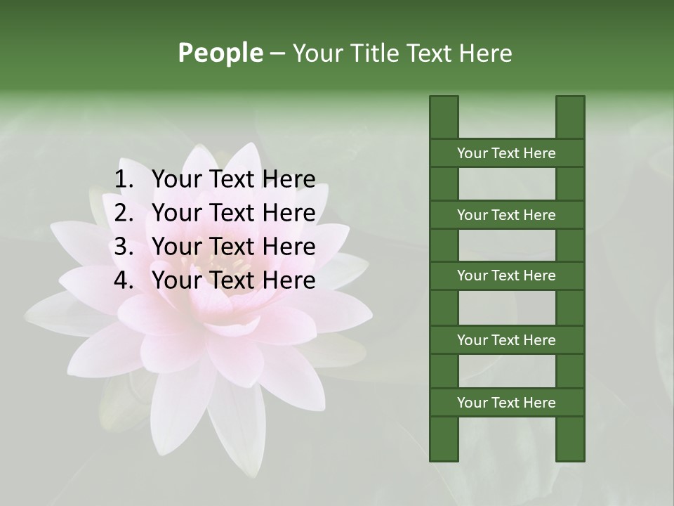 Water Lily PowerPoint Template
