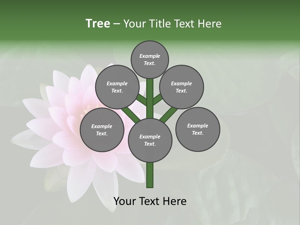 Water Lily PowerPoint Template