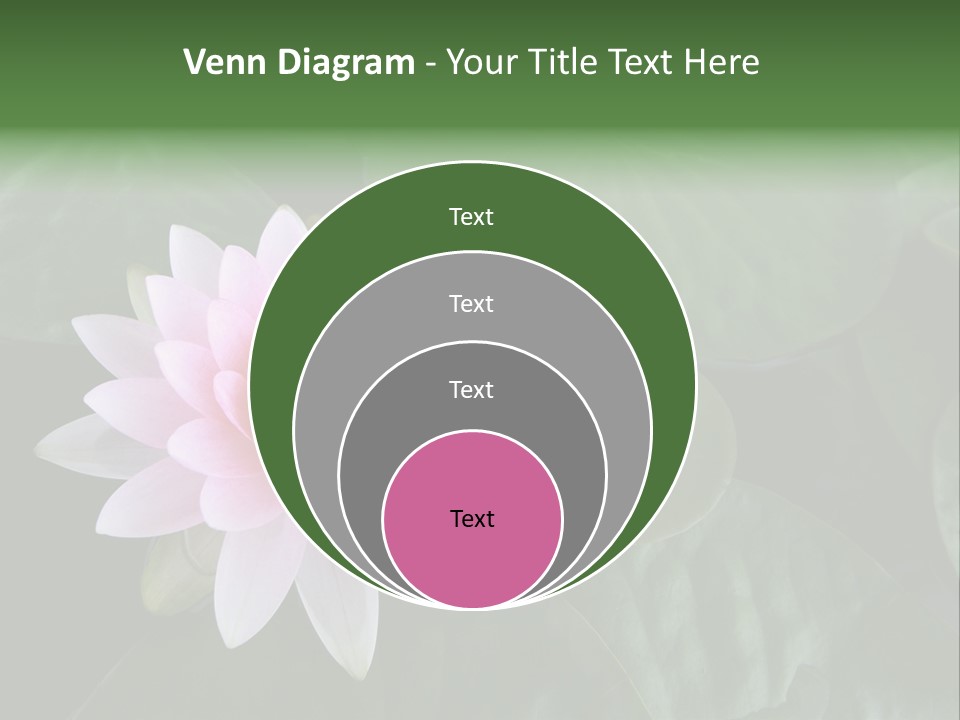 Water Lily PowerPoint Template