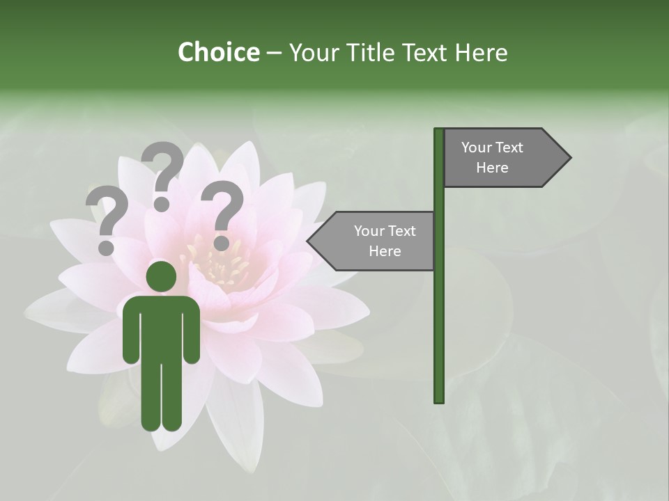 Water Lily PowerPoint Template