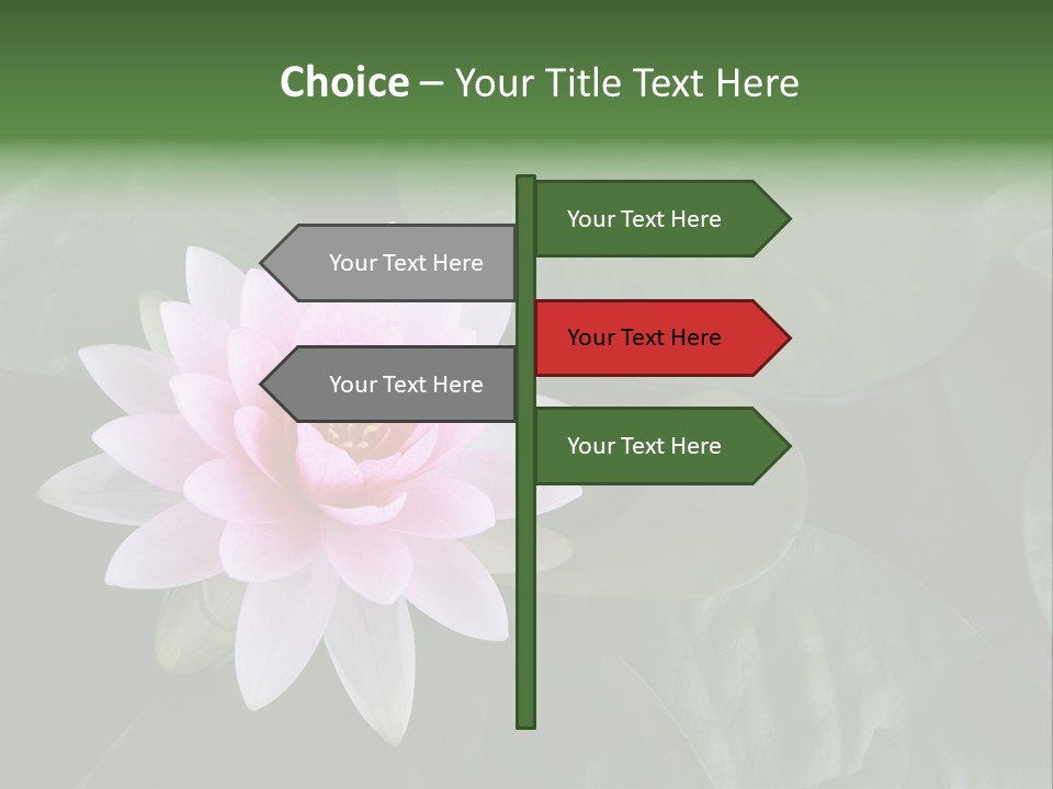 Water Lily PowerPoint Template