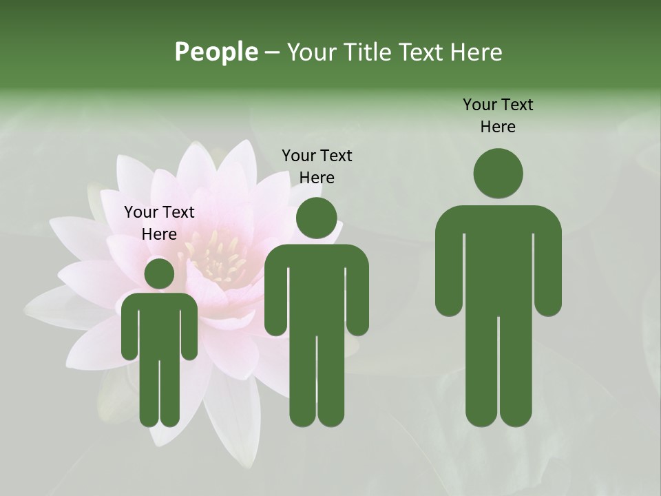 Water Lily PowerPoint Template