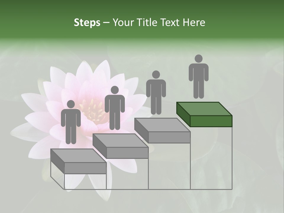 Water Lily PowerPoint Template