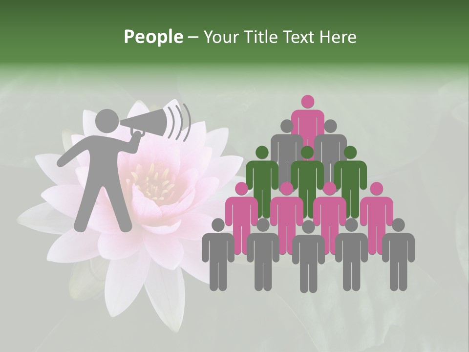 Water Lily PowerPoint Template