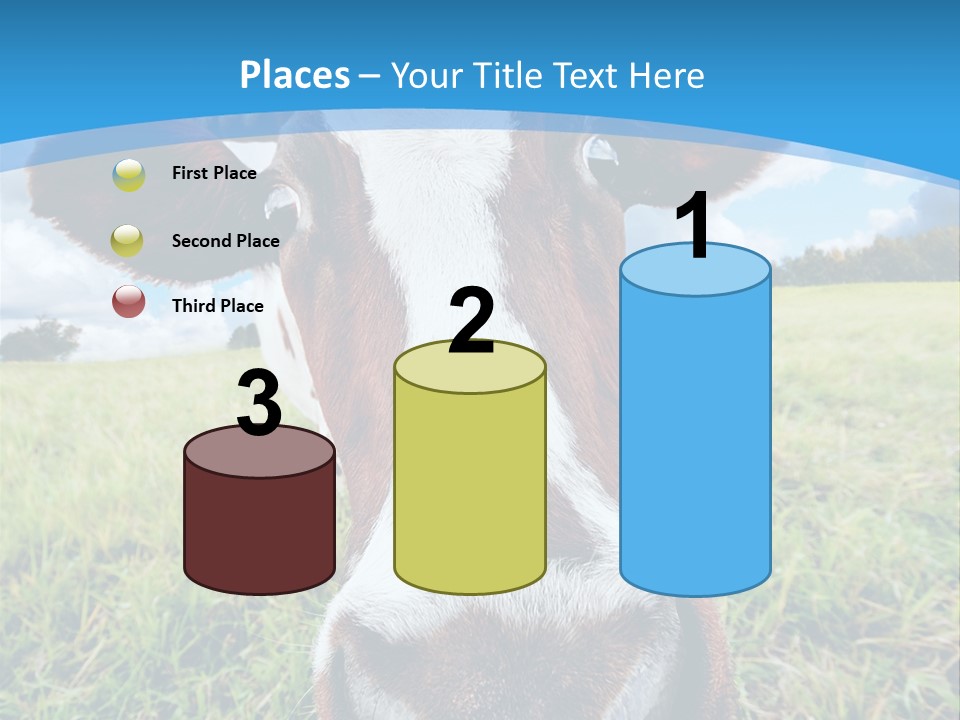 Summer Vibrant Single PowerPoint Template