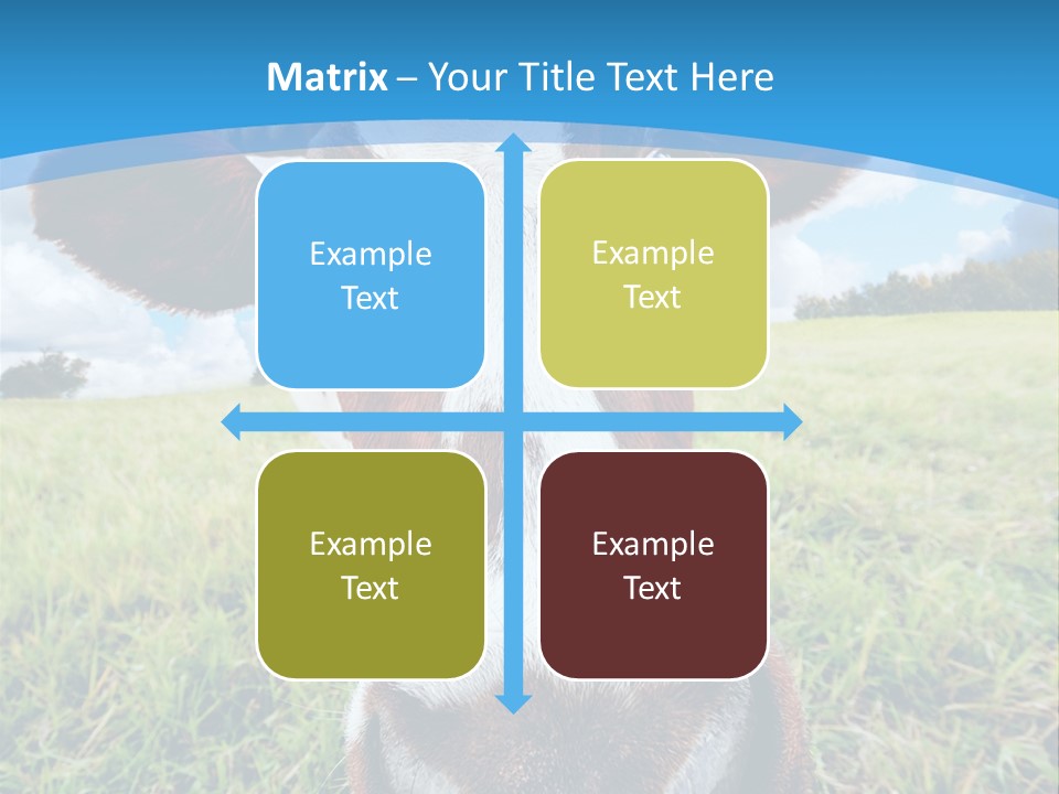 Summer Vibrant Single PowerPoint Template