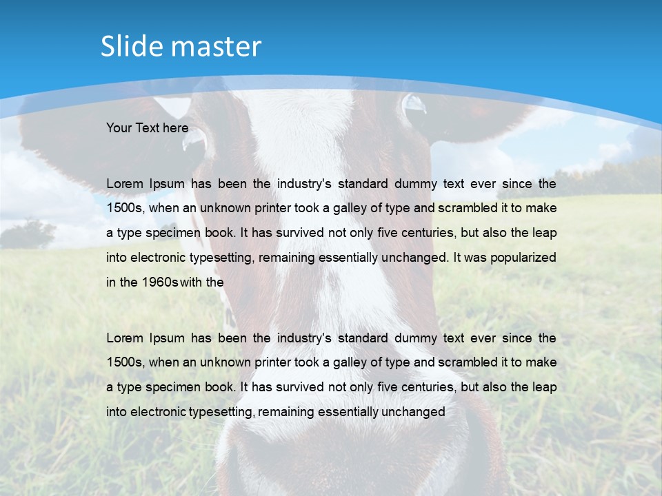 Summer Vibrant Single PowerPoint Template