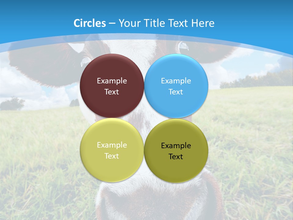 Summer Vibrant Single PowerPoint Template