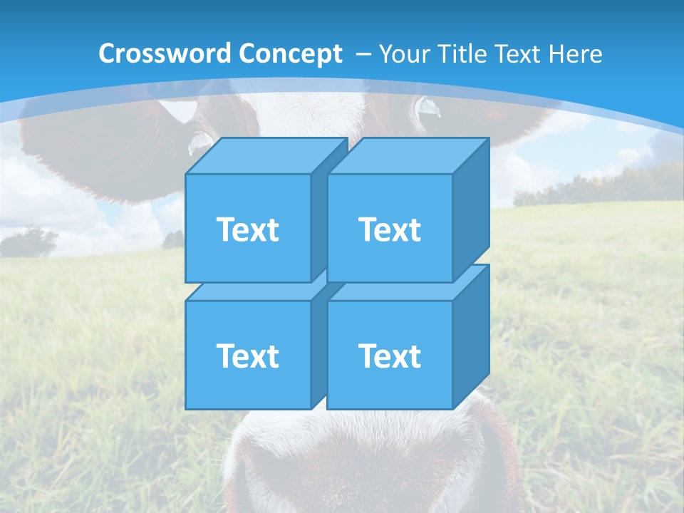 Summer Vibrant Single PowerPoint Template