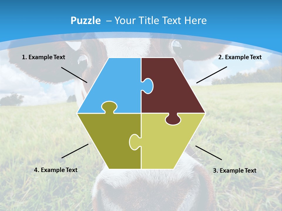 Summer Vibrant Single PowerPoint Template