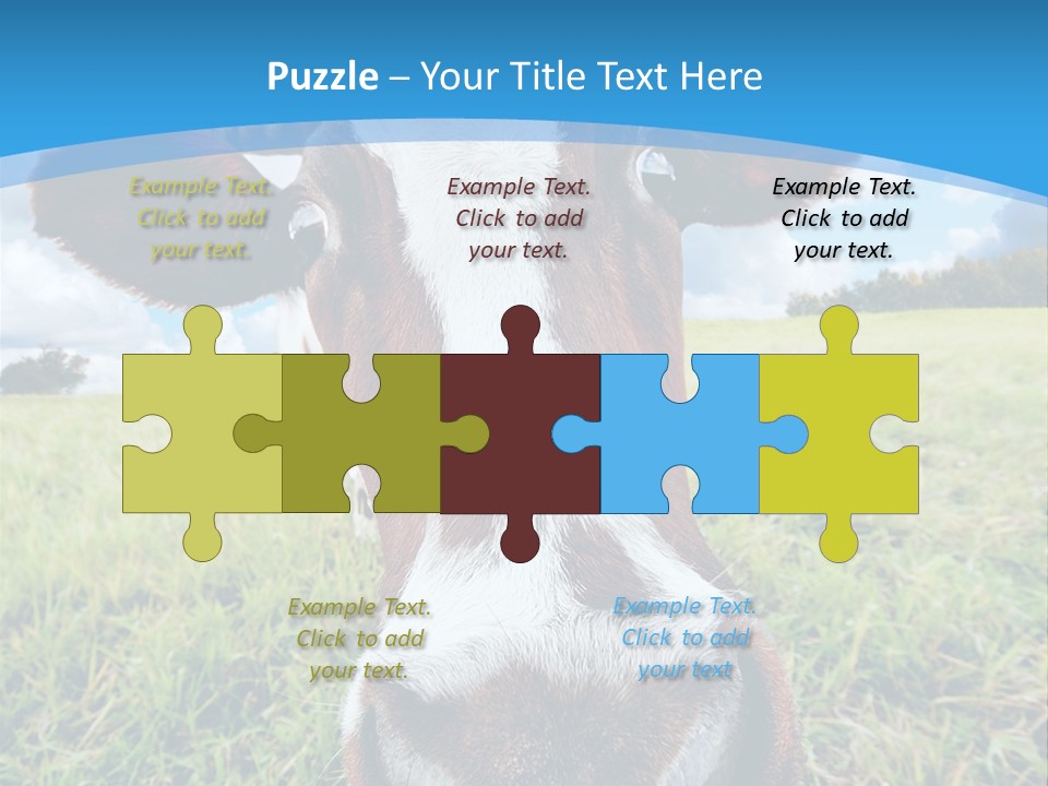 Summer Vibrant Single PowerPoint Template