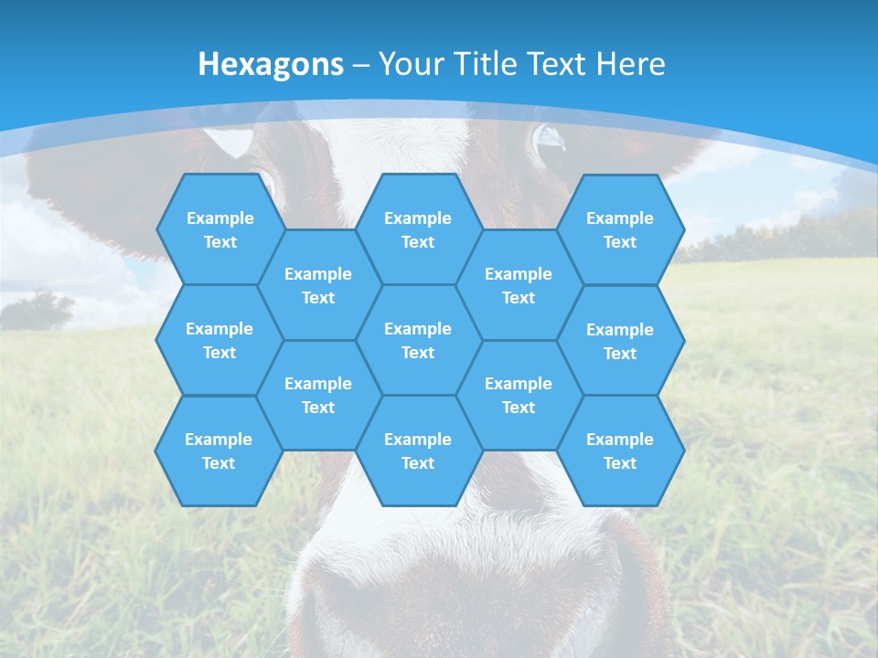 Summer Vibrant Single PowerPoint Template