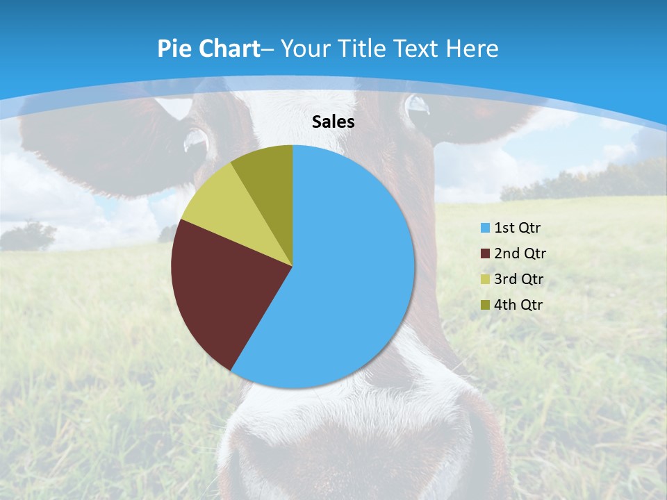 Summer Vibrant Single PowerPoint Template