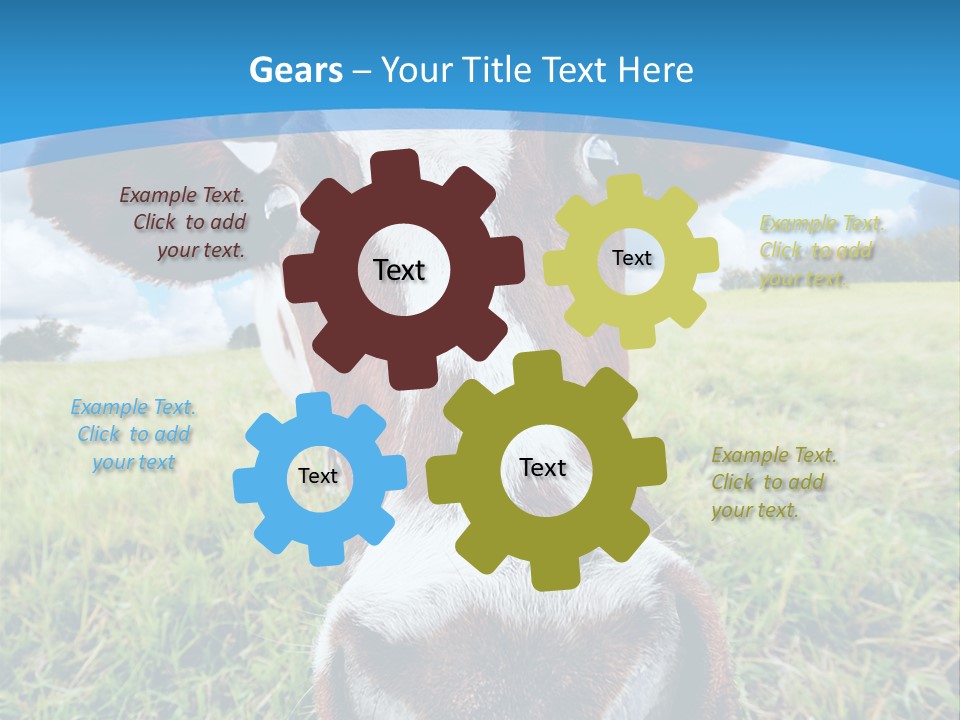 Summer Vibrant Single PowerPoint Template