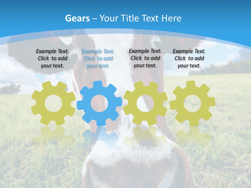 Summer Vibrant Single PowerPoint Template