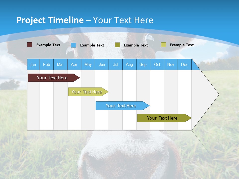 Summer Vibrant Single PowerPoint Template