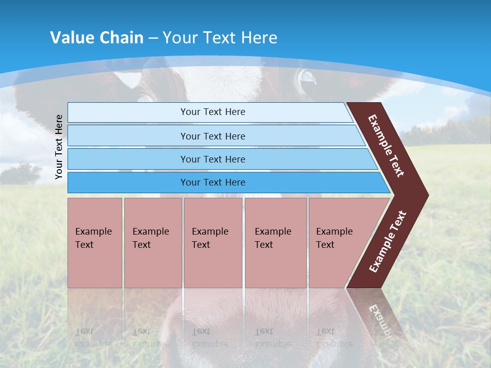 Summer Vibrant Single PowerPoint Template