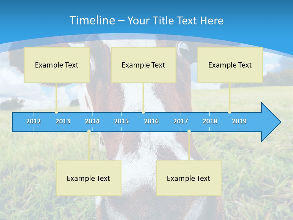 Summer Vibrant Single PowerPoint Template