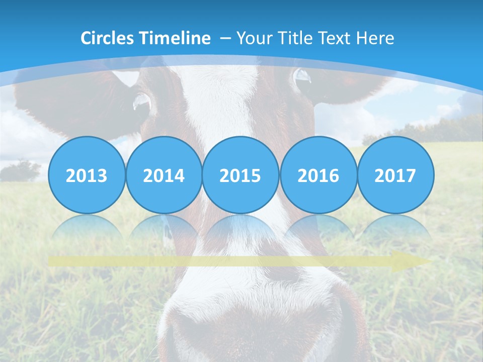 Summer Vibrant Single PowerPoint Template