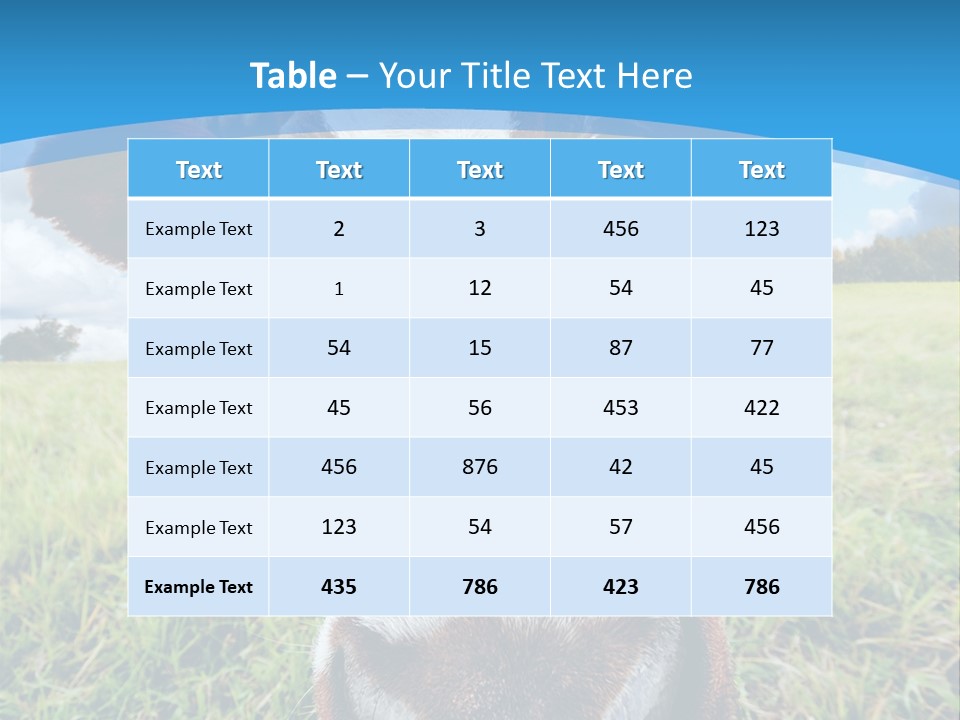 Summer Vibrant Single PowerPoint Template